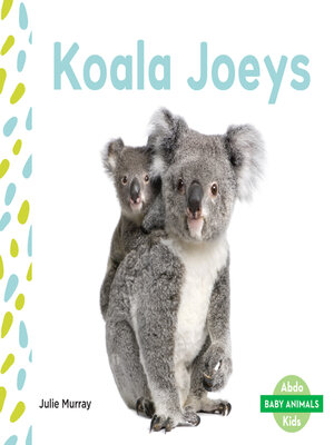 cover image of Koala Joeys